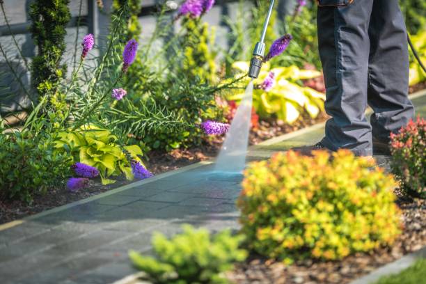 Best Driveway Pressure Washing  in Galesville, WI