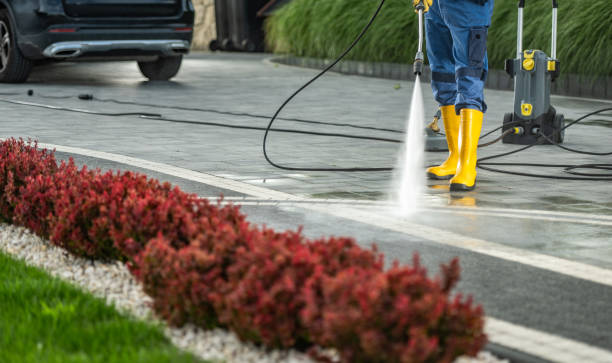 Best Soft Washing  in Galesville, WI
